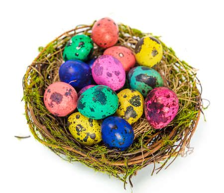 Easter eggs in the nestの写真素材