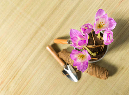 Gardeningの写真素材