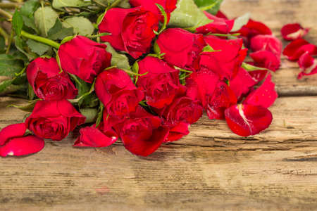 Perfect Valentines rosesの写真素材