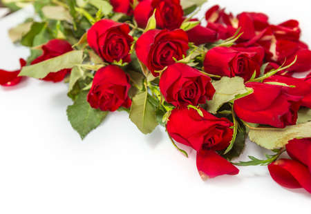 Perfect Valentines rosesの写真素材
