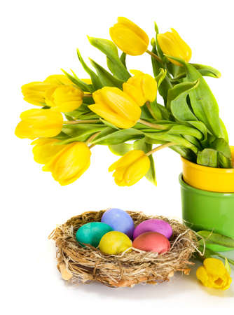 Easter eggs in the nest and tulip flowersの写真素材