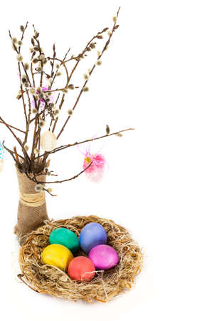 Easter eggs in the nest and tulip flowersの写真素材