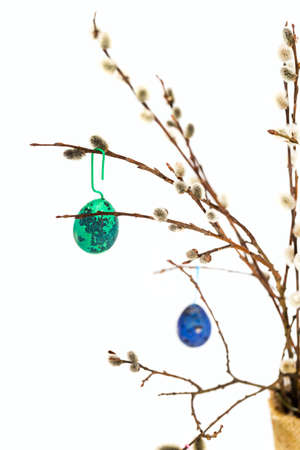 Easter eggs on a branchの写真素材
