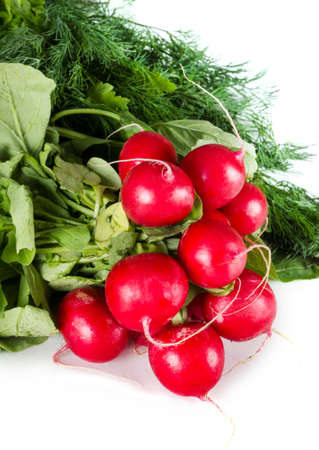 fresh red Radish on whiteの写真素材
