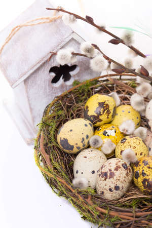 Easter eggs in the nest on a white background