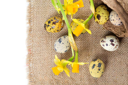 Easter eggs on a white background and textileの写真素材