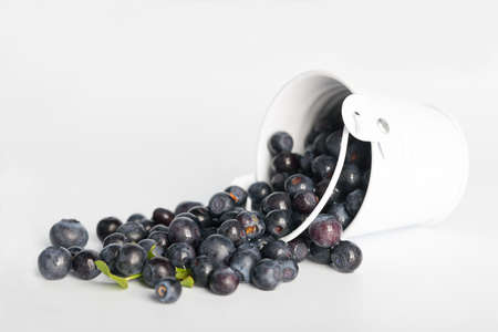 Fresh blueberries tasty on the white backgroundの写真素材