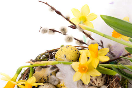 Easter eggs in the nest on a white backgroundの写真素材