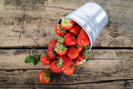 Strawberryの写真素材