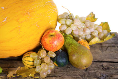 Pumpkin crop autumnの写真素材