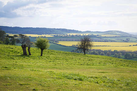 Perfect sunny summer landscapeの写真素材