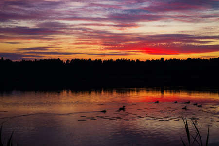 Purple sunset