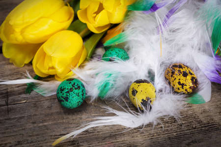 Colorful easter eggs in the nest on whiteの写真素材