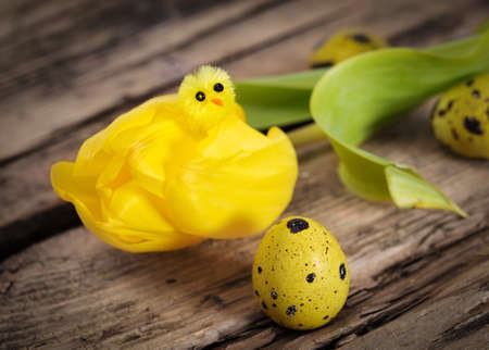 Colorful easter eggs in the nest on white