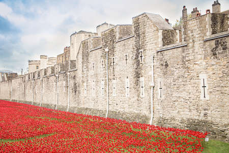 LONDON TOWER - OCTOBER 11 2014. Ceramic poppies installation by Paul Cummins and Tom Pipe on October 11, 2014 commemorate the 888,246 British and colonial military who died in the 1914-1918 First World War, installed at the Tower of London.のeditorial素材