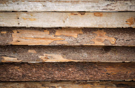 dirty nice wooden background for perfect designの写真素材