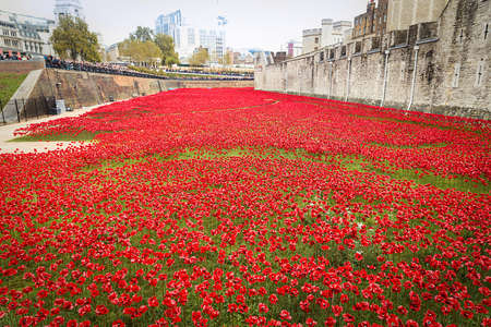 LONDON - OCTOBER 11, 2014. Ceramic poppies installation by Paul Cummins and Tom Pipe on October 11, 2014 commemorate the 888,246 British and colonial military died in the 1914-1918 First World War.のeditorial素材