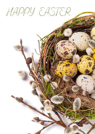 Easter eggs in the nest on a white backgroundの写真素材