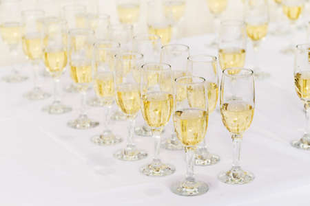 champagne glasses in a row on a tableの写真素材