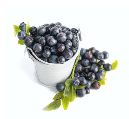 Blueberriesの写真素材