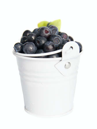 Blueberriesの写真素材