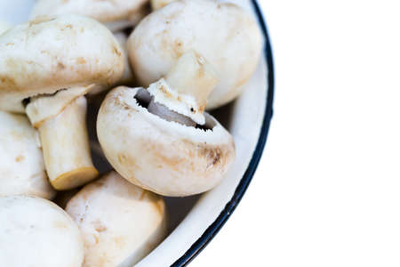 champignons on a wooden background in gardenの写真素材