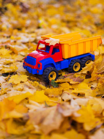 Lost Toy car truck outdoors in autumnの写真素材