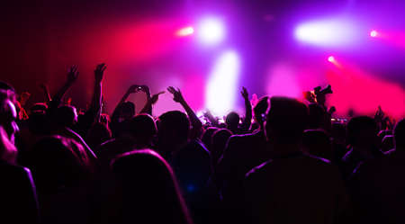 silhouettes of a crowd on a music concertの写真素材