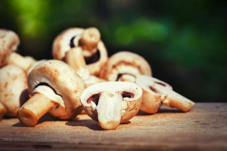 champignons on a wooden background in gardenの写真素材