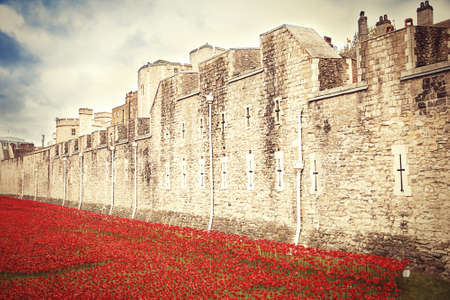 LONDON TOWER - OCTOBER 11 2014. Ceramic poppies installation by Paul Cummins and Tom Pipe on October 11, 2014 commemorate the 888,246 British and colonial military who died in the 1914-1918 First World War, installed at the Tower of London.のeditorial素材