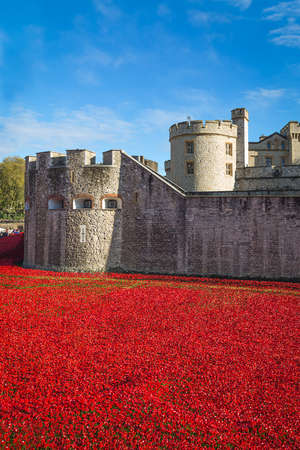 Tower of London 12 November 14. Ceramic poppies installation by Paul Cummins and Tom Pipe on October 11 2014 commemorate the 888,246 British and colonial military died in the 1914-1918 First World Warのeditorial素材