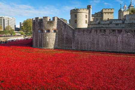 Tower of London 12 November 14. Ceramic poppies installation by Paul Cummins and Tom Pipe on October 11 2014 commemorate the 888,246 British and colonial military died in the 1914-1918 First World Warのeditorial素材
