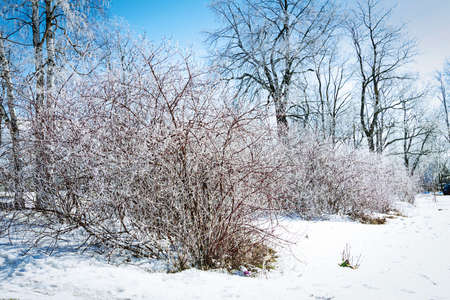 Russian winterの写真素材