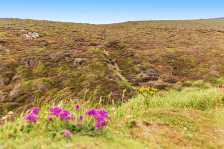 Popular St Agnes and Chapel Porth Atlantic ocean coast, Cornwall, England, United Kingdomの写真素材