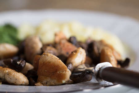 Roasted chicken, meshed potato and spinach on a plateの写真素材