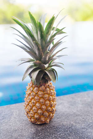 Fresh sweet ripe pineapple near swimming poolの写真素材