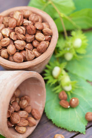 fresh hazelnut on a wooden background outdoorsの写真素材