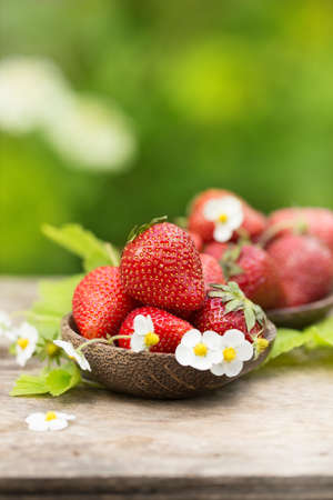 Fresh ripe sweet strawberries crop in the gardenの写真素材