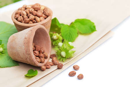 fresh hazelnut on a wooden background outdoorsの写真素材