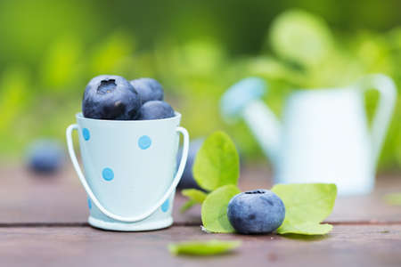 Fresh sweet ripe blueberries outdoors in gardenの写真素材