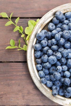 Fresh sweet ripe blueberries outdoors in gardenの写真素材