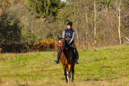 Elegant attractive woman riding a horse farmの写真素材