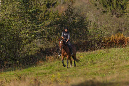Elegant attractive woman riding a horse farmの写真素材