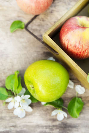 Fresh red and green apples with flowers in the sunny gardenの写真素材