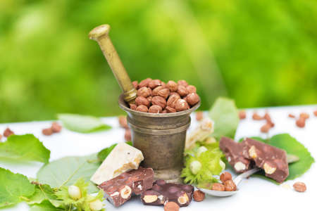 A lot of different chocolate, many variations, with hazelnuts as ingredients in natureの写真素材