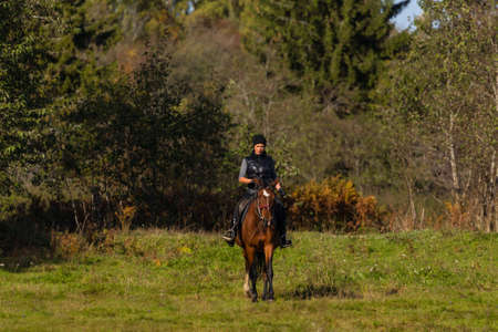 Elegant attractive woman riding a horse on an autumn fieldの写真素材
