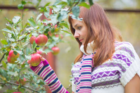 Pretty brunette woman with autumn apple crop near treeの写真素材
