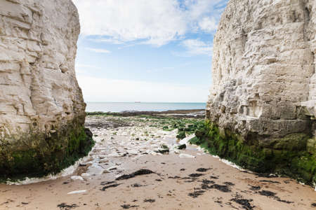 Popular white cliffs Botany Bay La Manche English channel coast, Kent, England, United Kingdomの写真素材