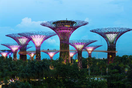 Singapore, 15 January 2016 - Landscape of The Supertree at Gardens by the Bay in Marina Bay evening lightsのeditorial素材