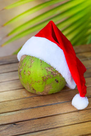 Tropical picture of coconut in a Christmas red hat and palm leavesの写真素材